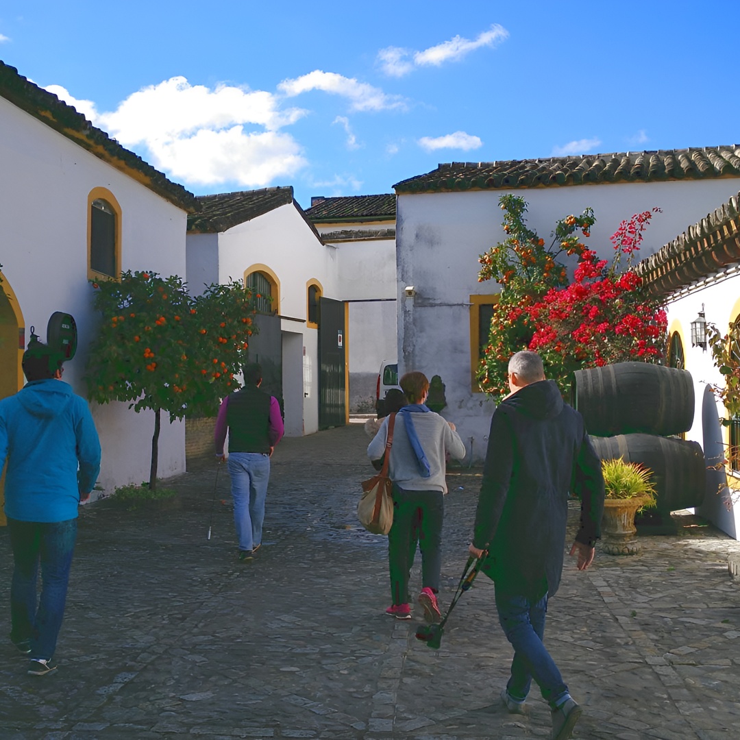 Descubre Jerez en Jerez en Cádiz