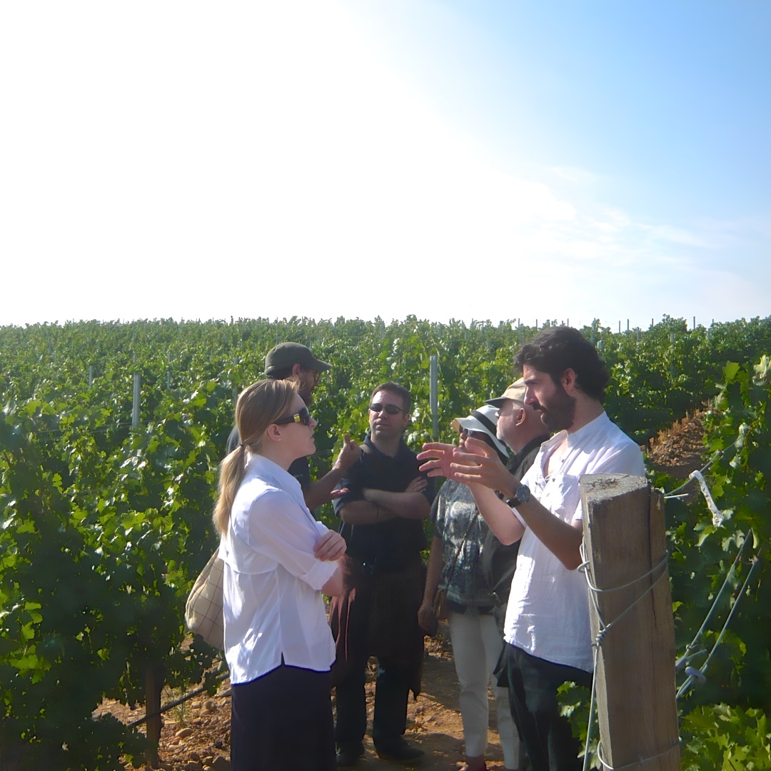 Visita Guiada a Bodegas Rurales de Madrid con Cata de Vinos