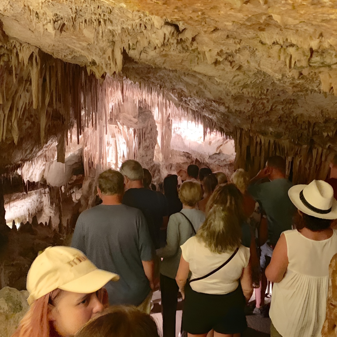 Excursión de día completo a las cuevas de Mallorca : Drach, Hams & Pearl Factory Visit