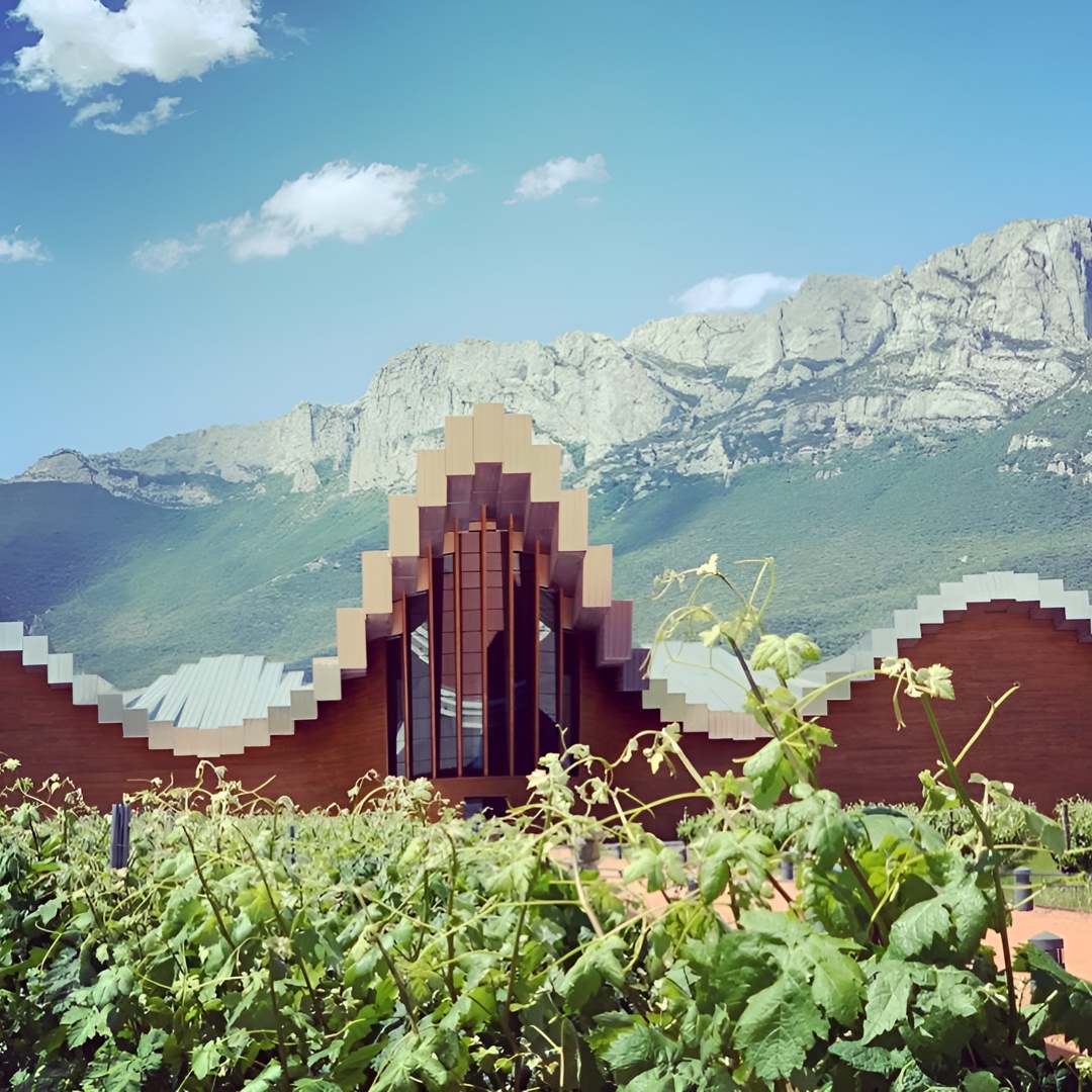 Tour Arquitectónico del Vino Rioja : Marqués de Riscal & Ysios (Bilbao)