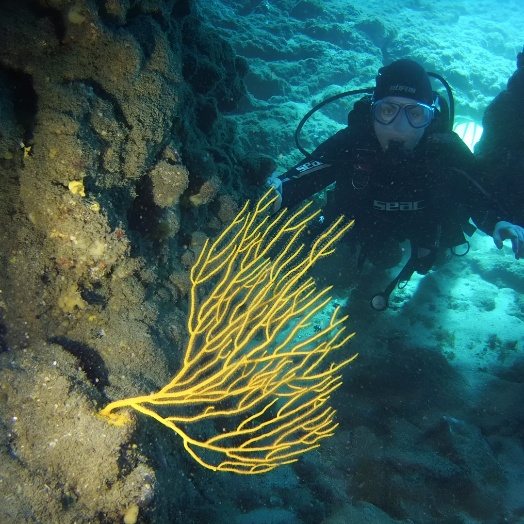 DESCUBRE EL BUCEO - Primer paso para su certificación