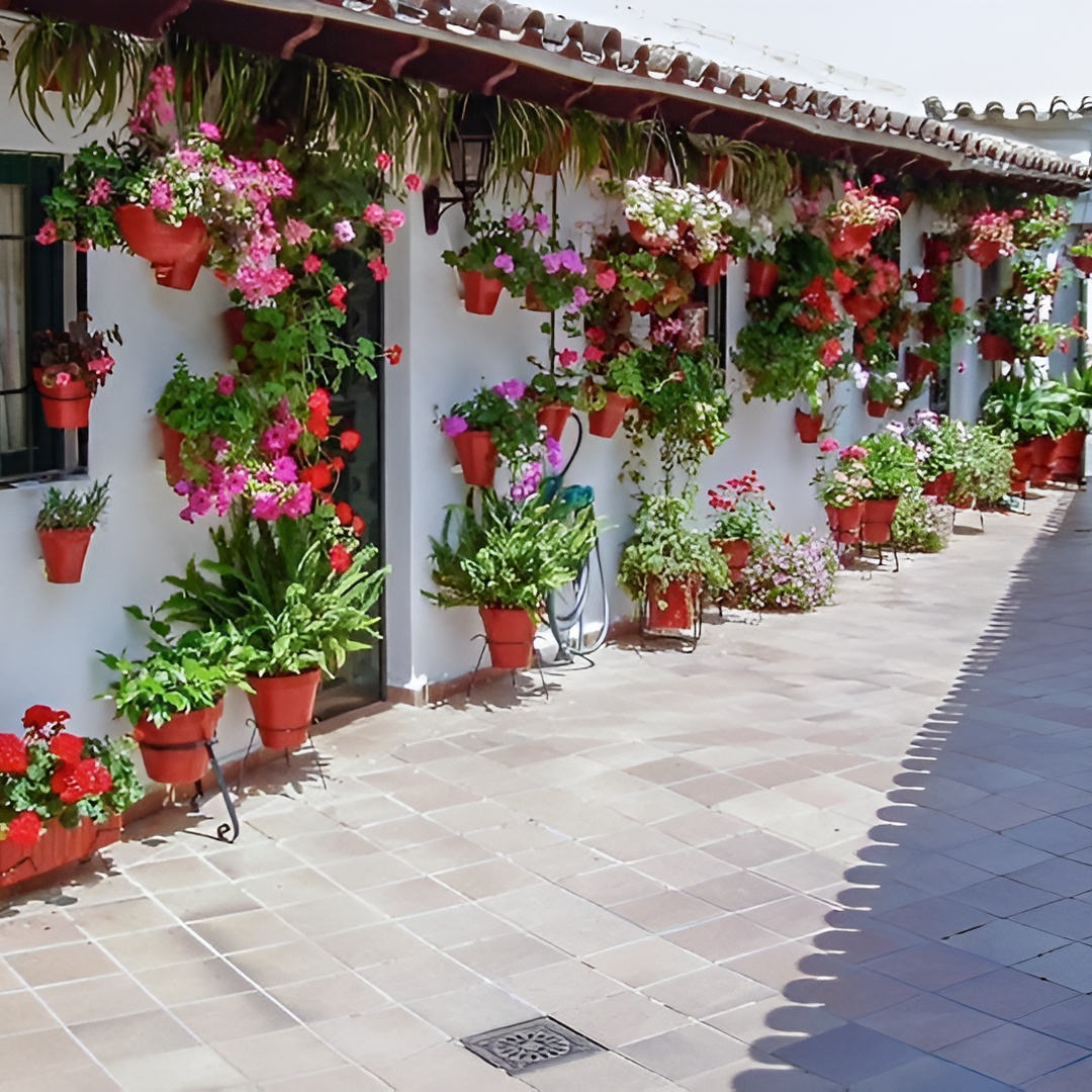 Auténticos Patios de Córdoba : Tour de 2 horas con entradas en Córdoba