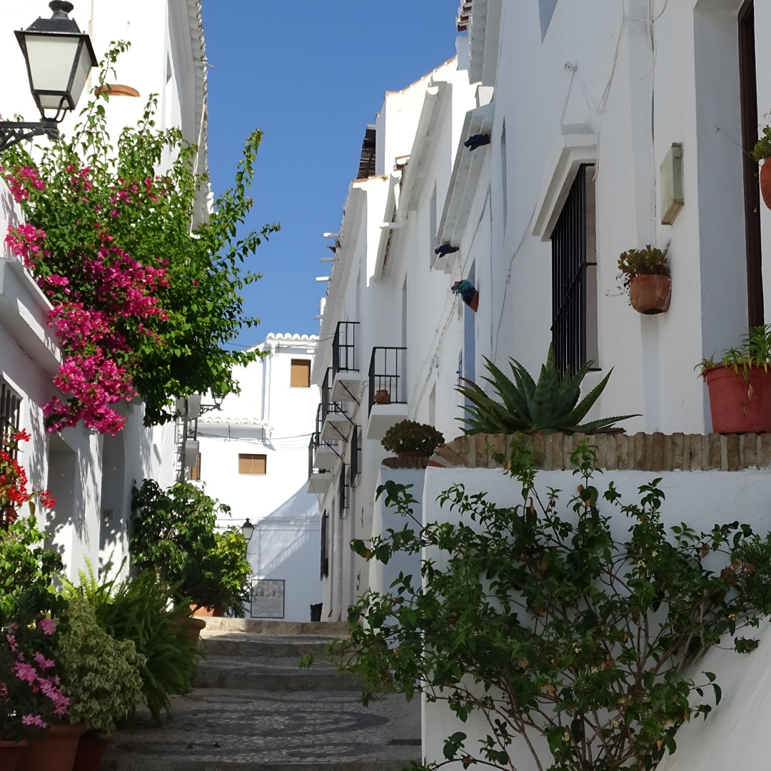 Visita Guiada a Pie por el Casco Antiguo de Frigiliana
