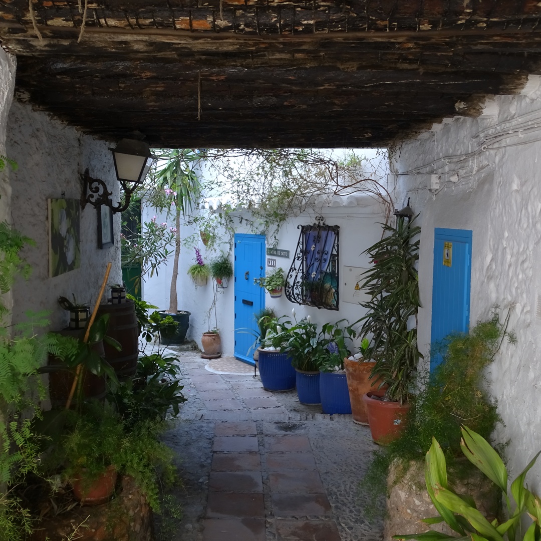 Recorrido Privado a Pie por el Casco Antiguo de Frigiliana en Málaga