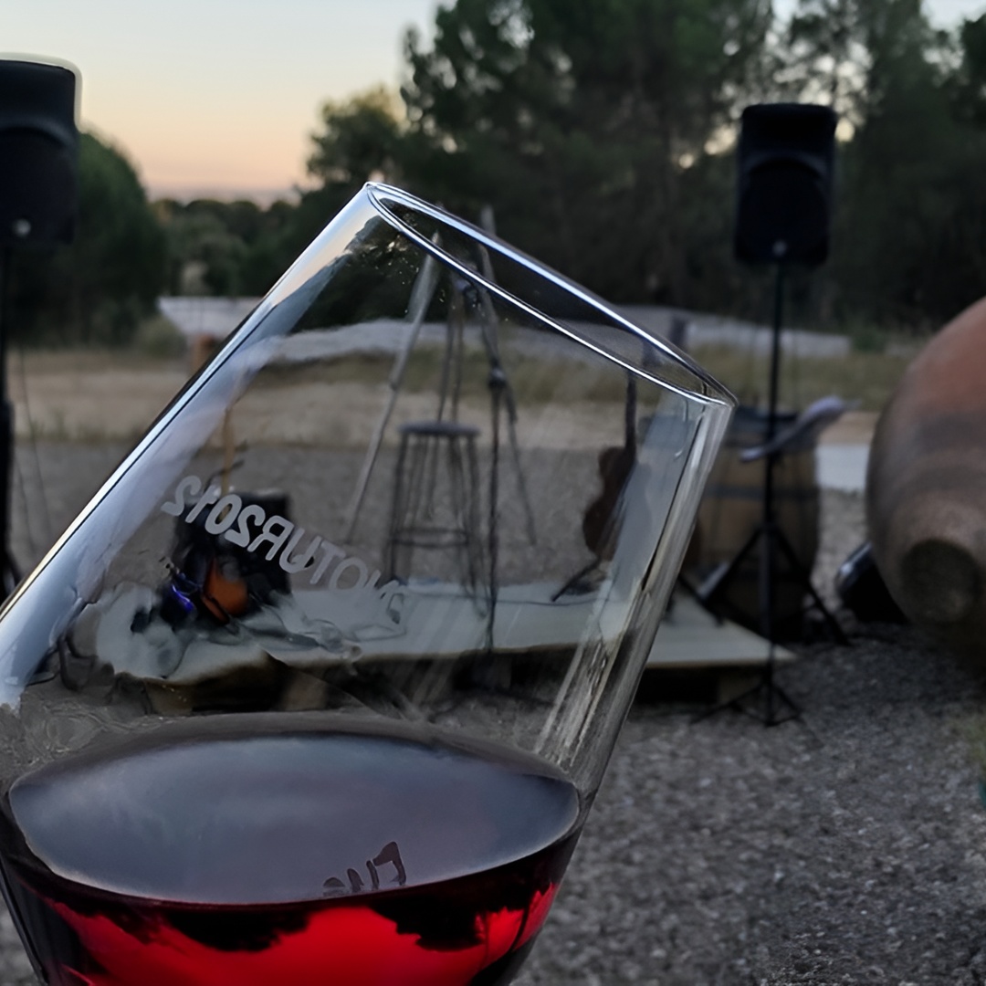 Visita y Cata de Vinos en la Bodega Territorio Luthier