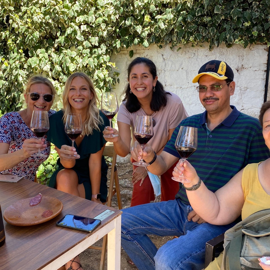 Valencia Wine Country Tour : Bodegas, Almuerzo & Vinos Bobal en Valencia