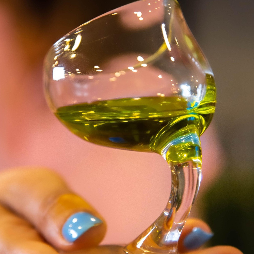 Cata Privada de Aceite de Oliva en Córdoba en Córdoba