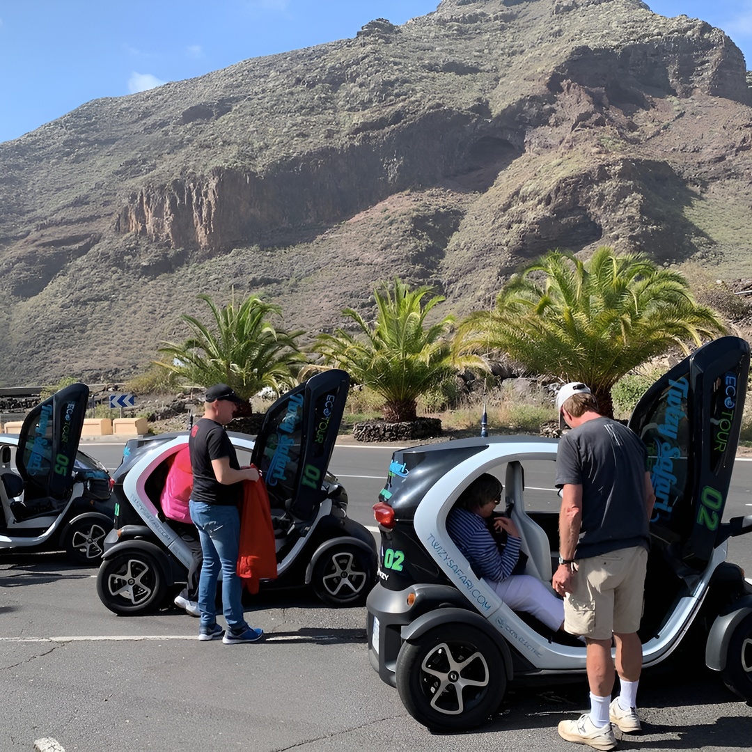 4 - Tour Eco Safari de Montaña con Coche Eléctrico en Tenerife