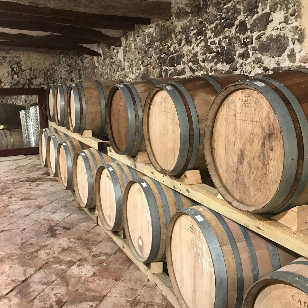 Tour de cata de vinos del Priorat desde Salou con recogida en el hotel