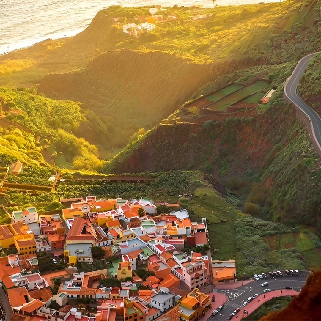 Recorrido Guiado de Día Completo a La Gomera desde Tenerife en Tenerife