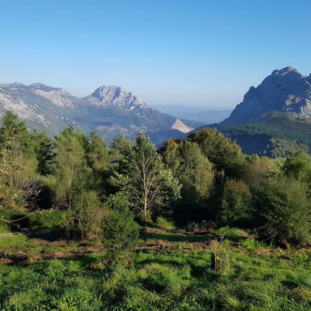 Tour Privado Visitando Pueblos, Bosques y Valles de Bizkaia en Bilbao