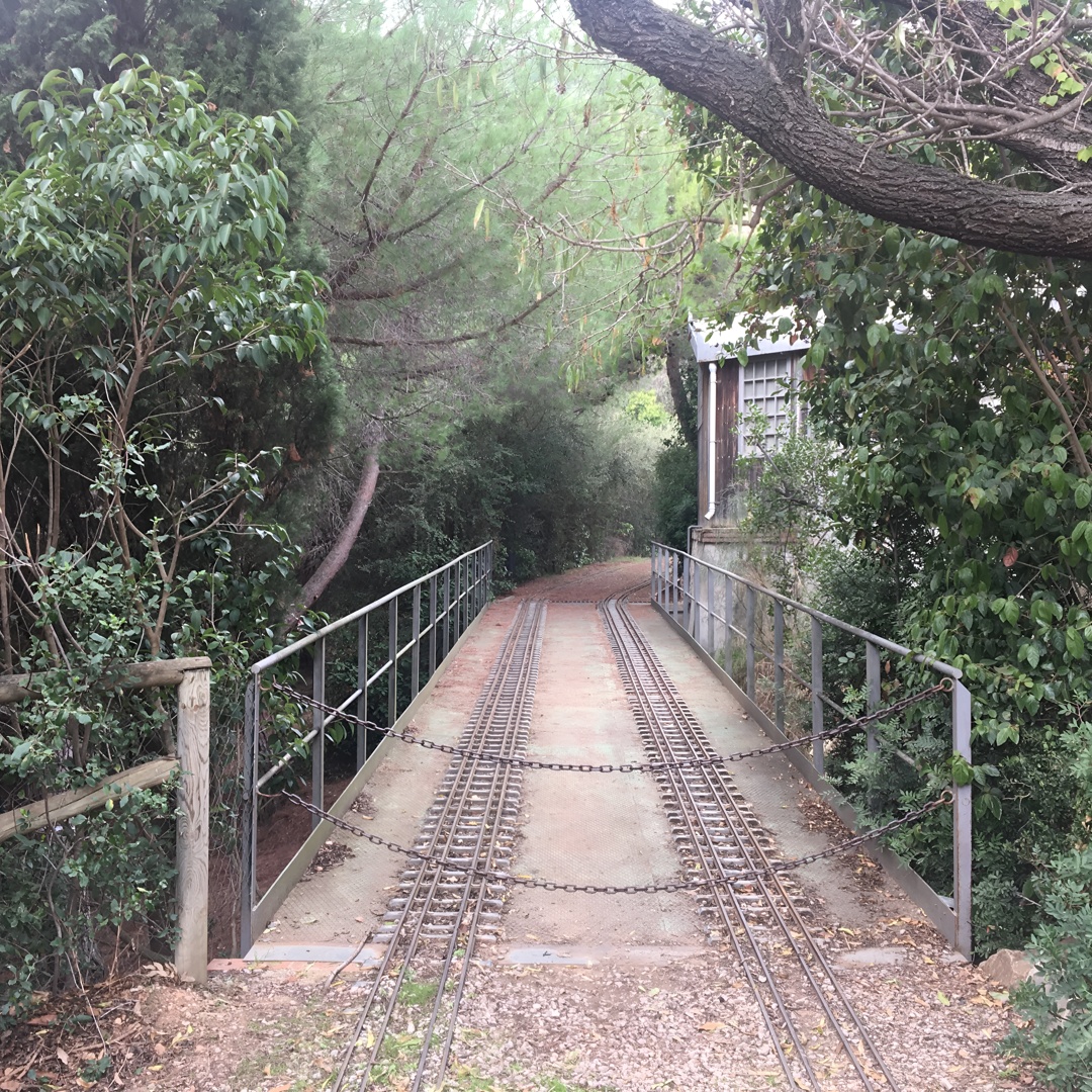 Walk & Photo Tour in Barcelona's mountain en Barcelona