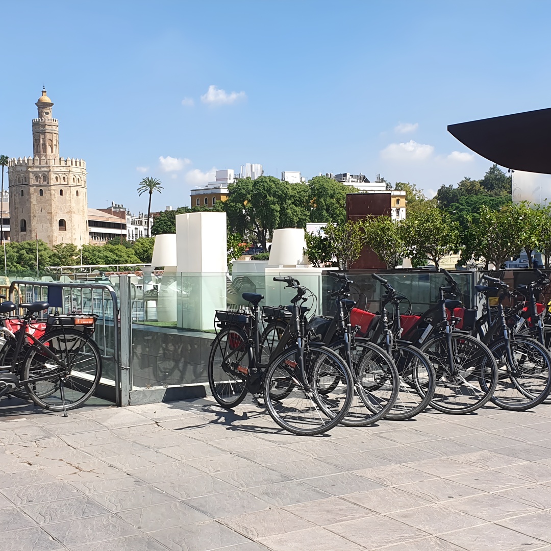 Alquiler de Bicicleta por Día en Sevilla en Sevilla