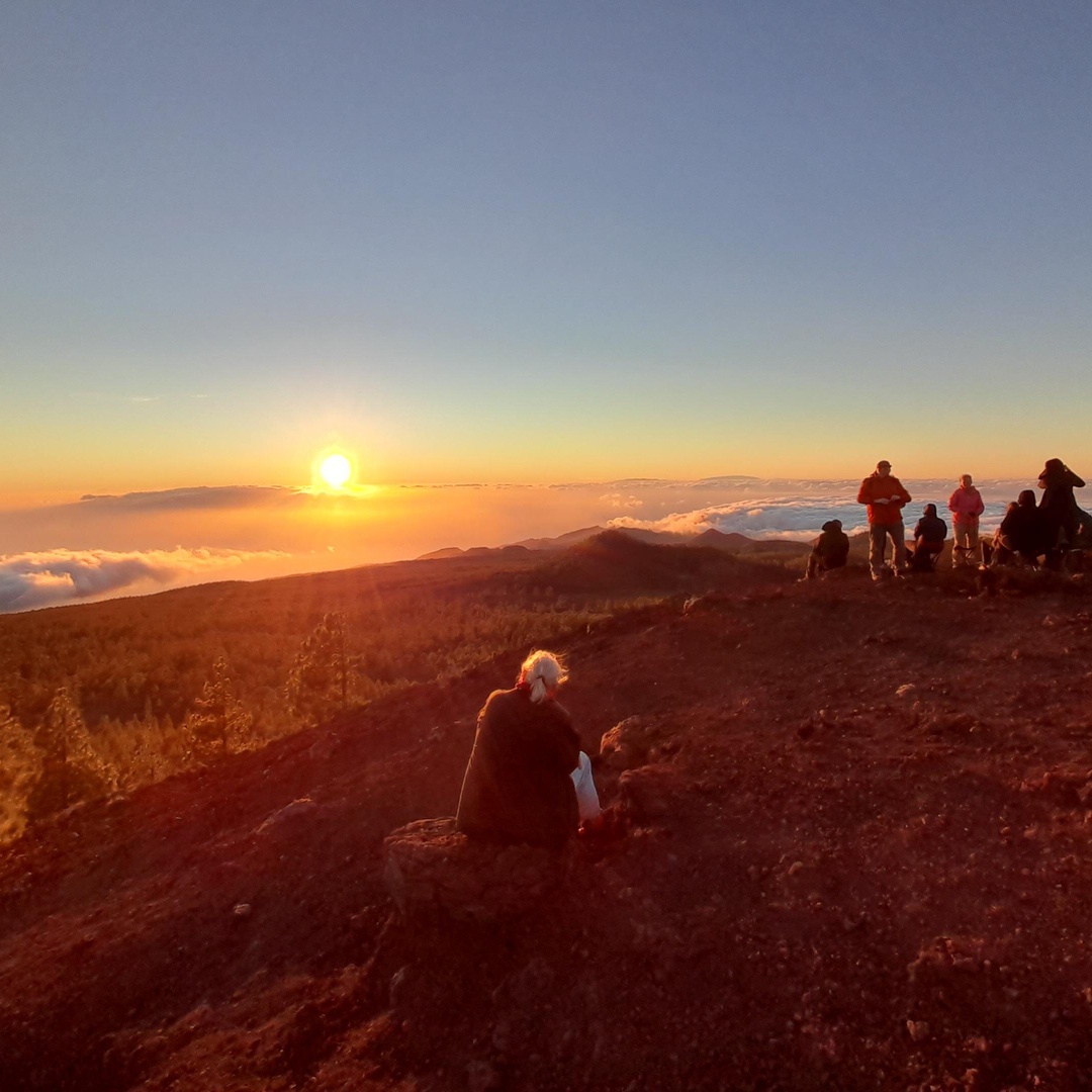 Excursión de medio día para grupos pequeños al Parque Nacional del Teide con recogida en Tenerife
