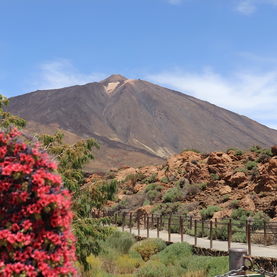 Masca - Garachico - Icod - Parque Nacional del Teide