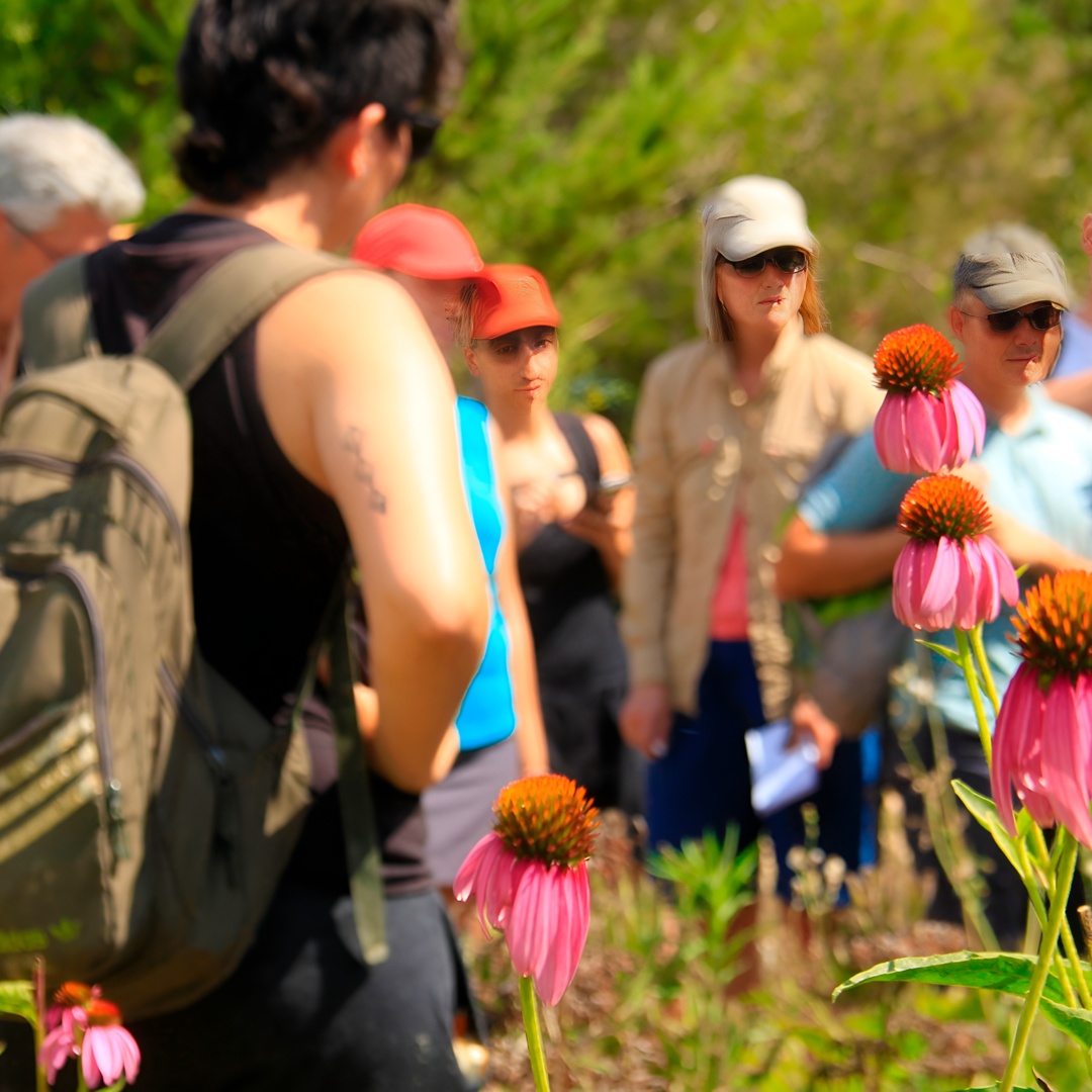 Experiencia Aromática en Jardin Medicinal en Ibiza en Ibiza