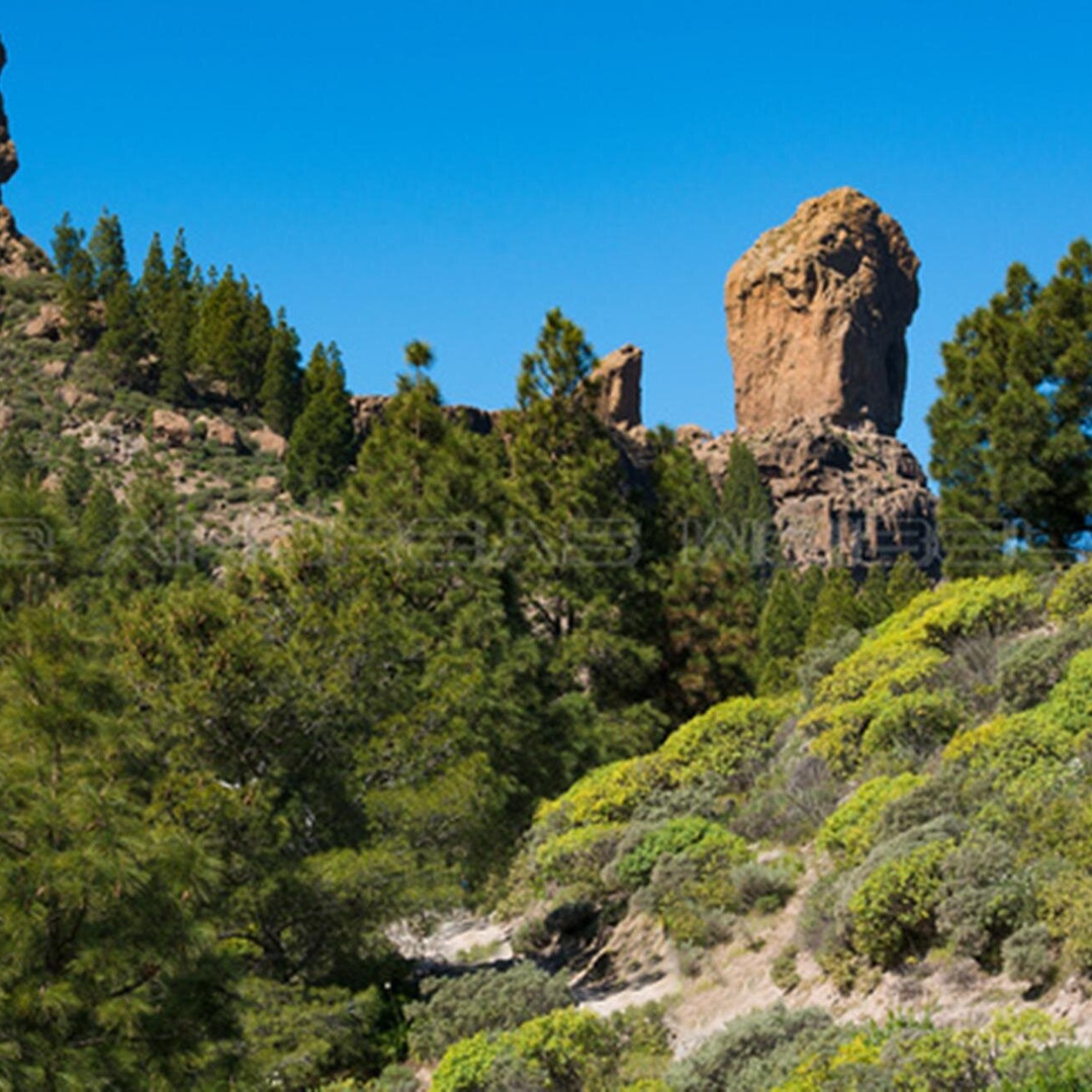 3-Horas Experiencia de Senderismo en el Roque Nublo