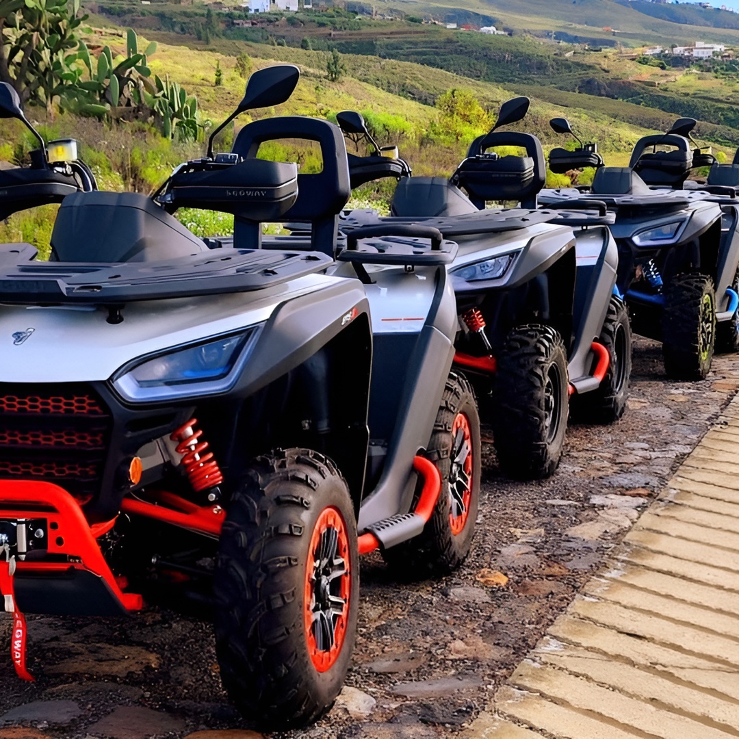 Excursión en quad Monster Quad en grupo reducido al Teide desde Tenerife en Tenerife