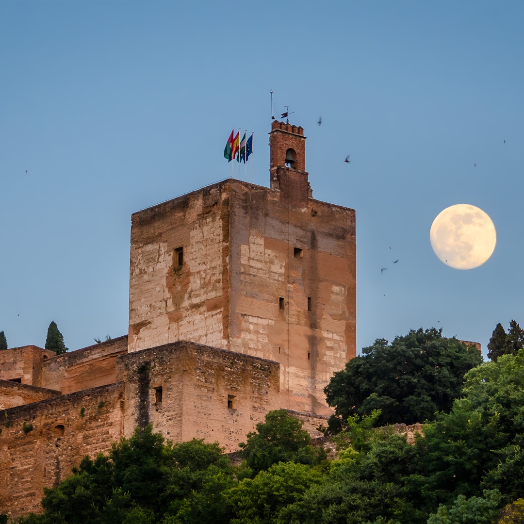 Visita privada a las entradas de la Alhambra incluida en Granada