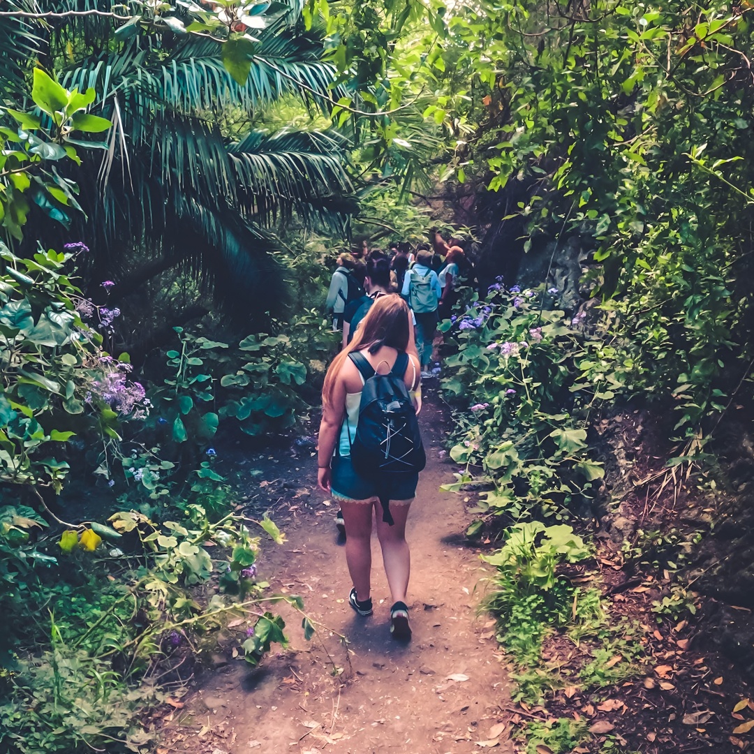The Rainforest Tour con Degustación de Productos Locales ツ en Gran Canaria