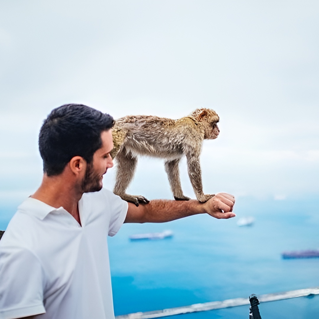Desde Malaga, excursión a Gibraltar con transporte en Málaga