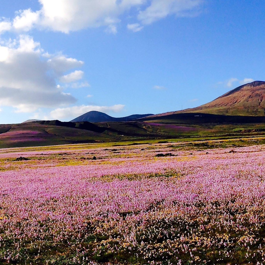 Tour personalizado y privado de la isla de Lanzarote en Lanzarote