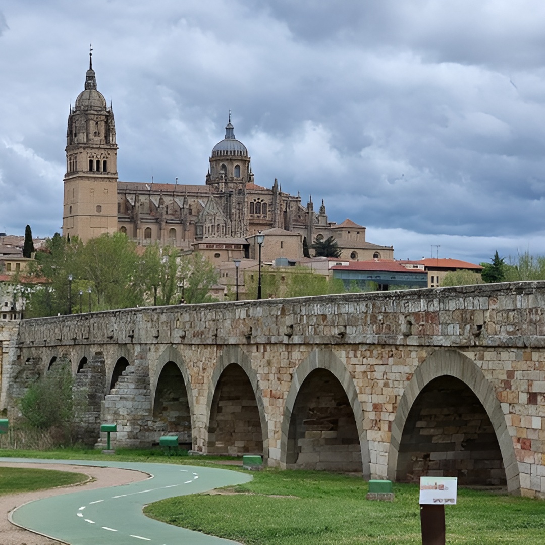 Excursión privada a Salamanca y Ávila desde Madrid con recogida en el hotel en Madrid