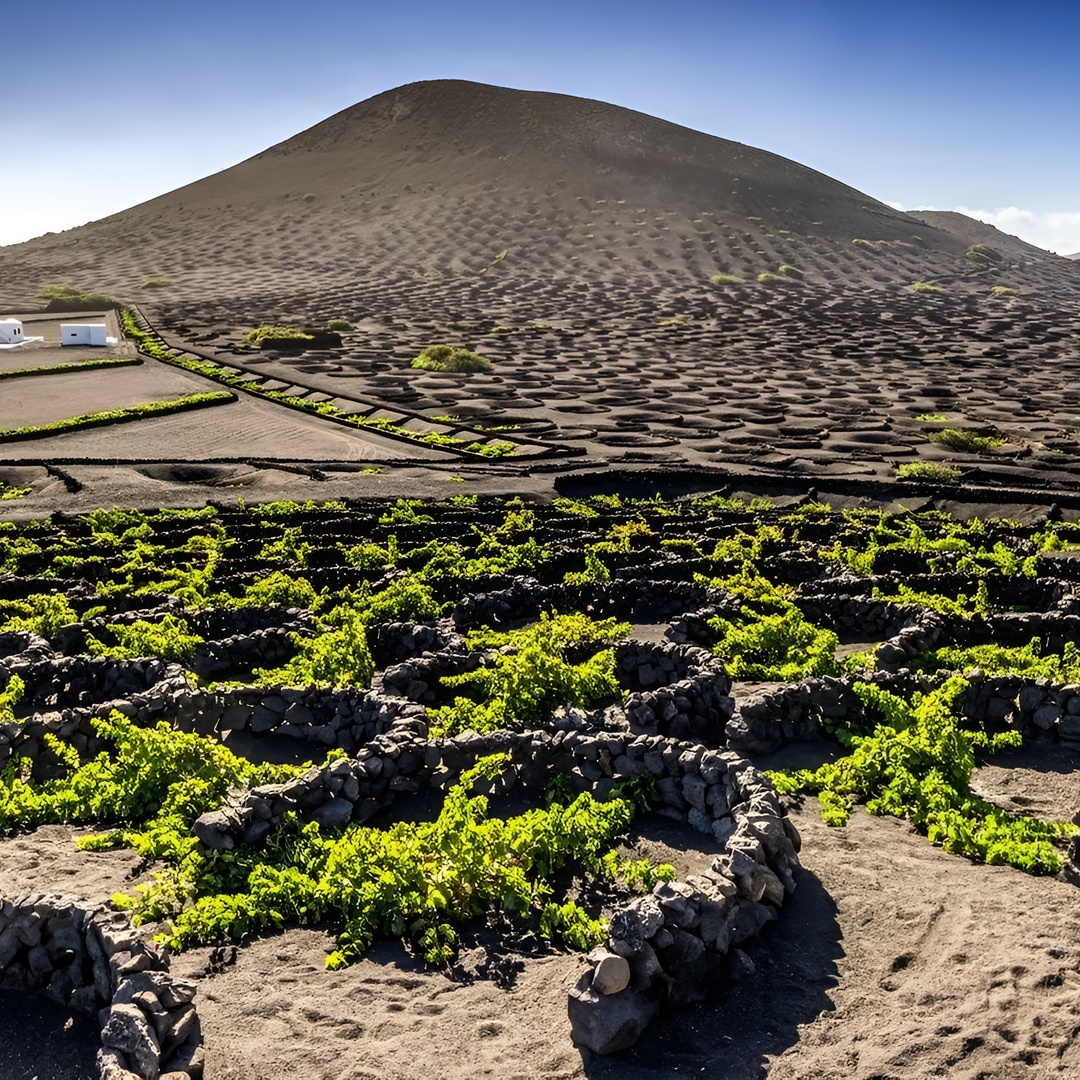 Timanfaya y Cueva de los Verdes