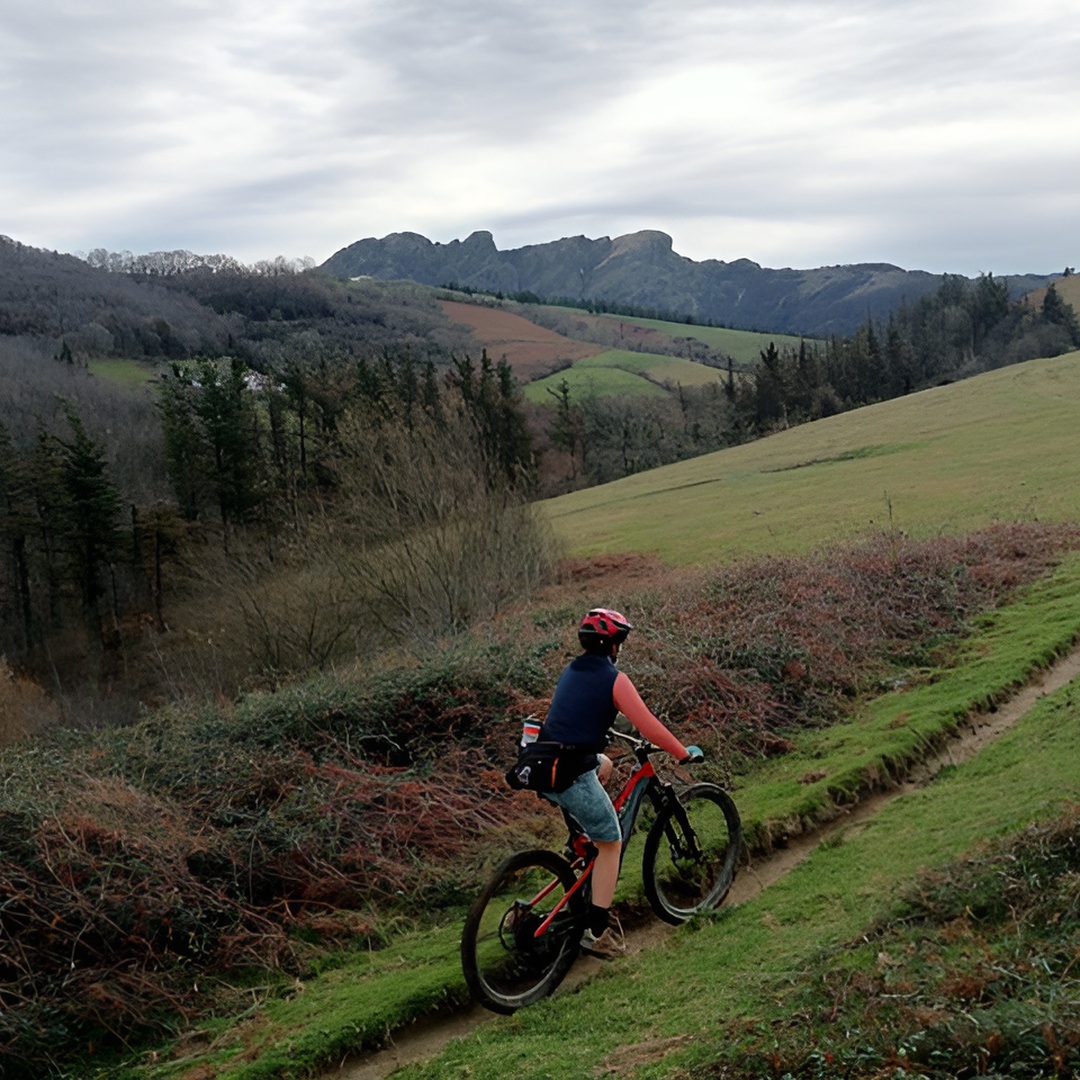 Tour en bicicleta de montaña para grupos pequeños en San Sebastián en San Sebastián