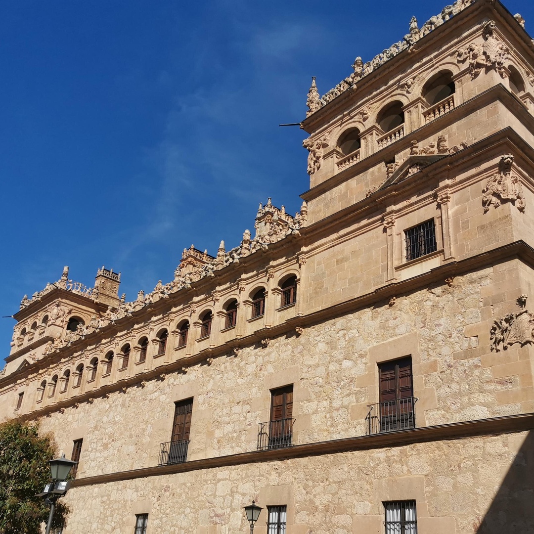 Recorrido panorámico a pie en Salamanca España