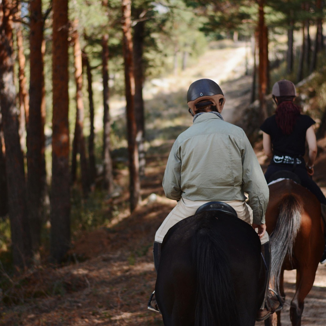 Horse Riding Madrid Natural Park Private trip en Madrid