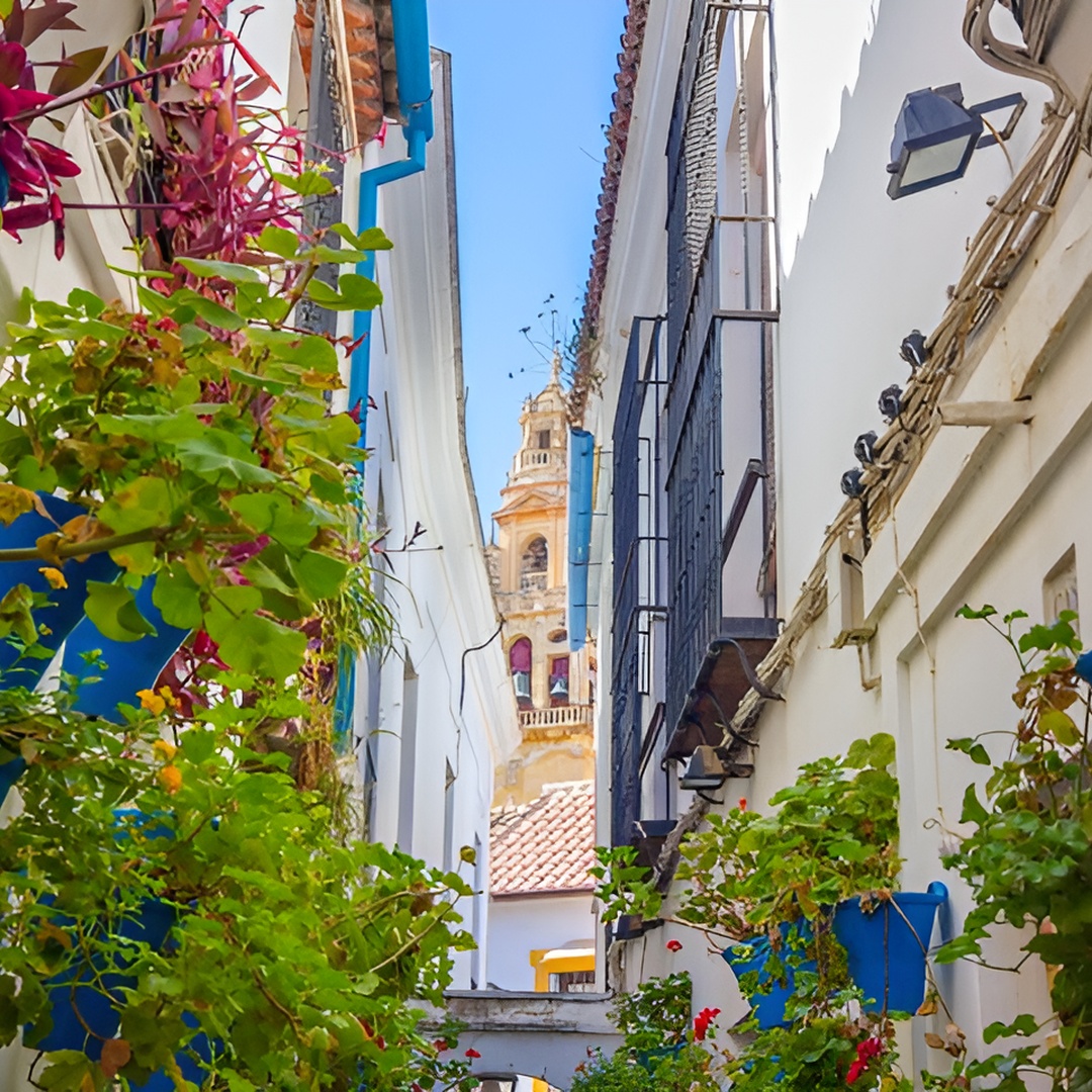 Córdoba Day Trip: A Journey Through History from Málaga