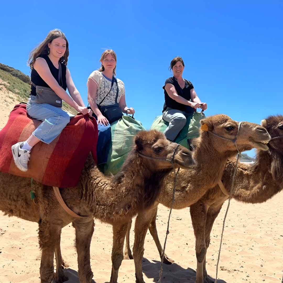Excursión privada de lujo a Tánger desde Málaga / Marbella o Tarifa en Málaga