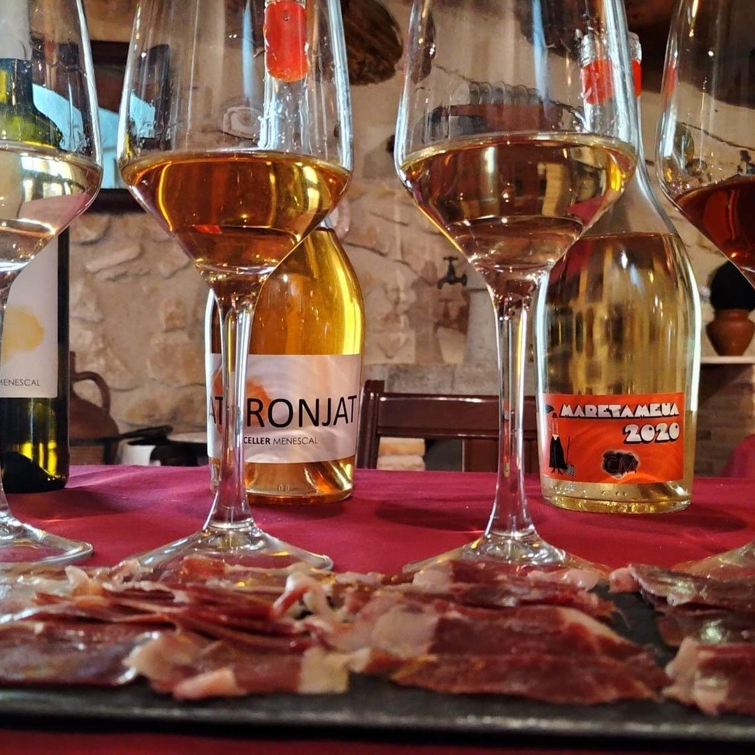 Visita bodega y cata de vinos