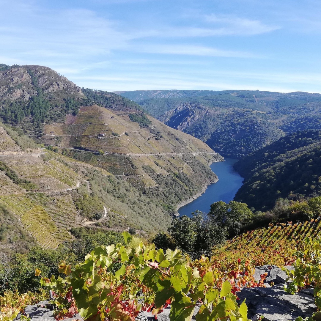 Tour Ribeira Sacra; Cañones, Río Sil y Ourense en Santiago de Compostela