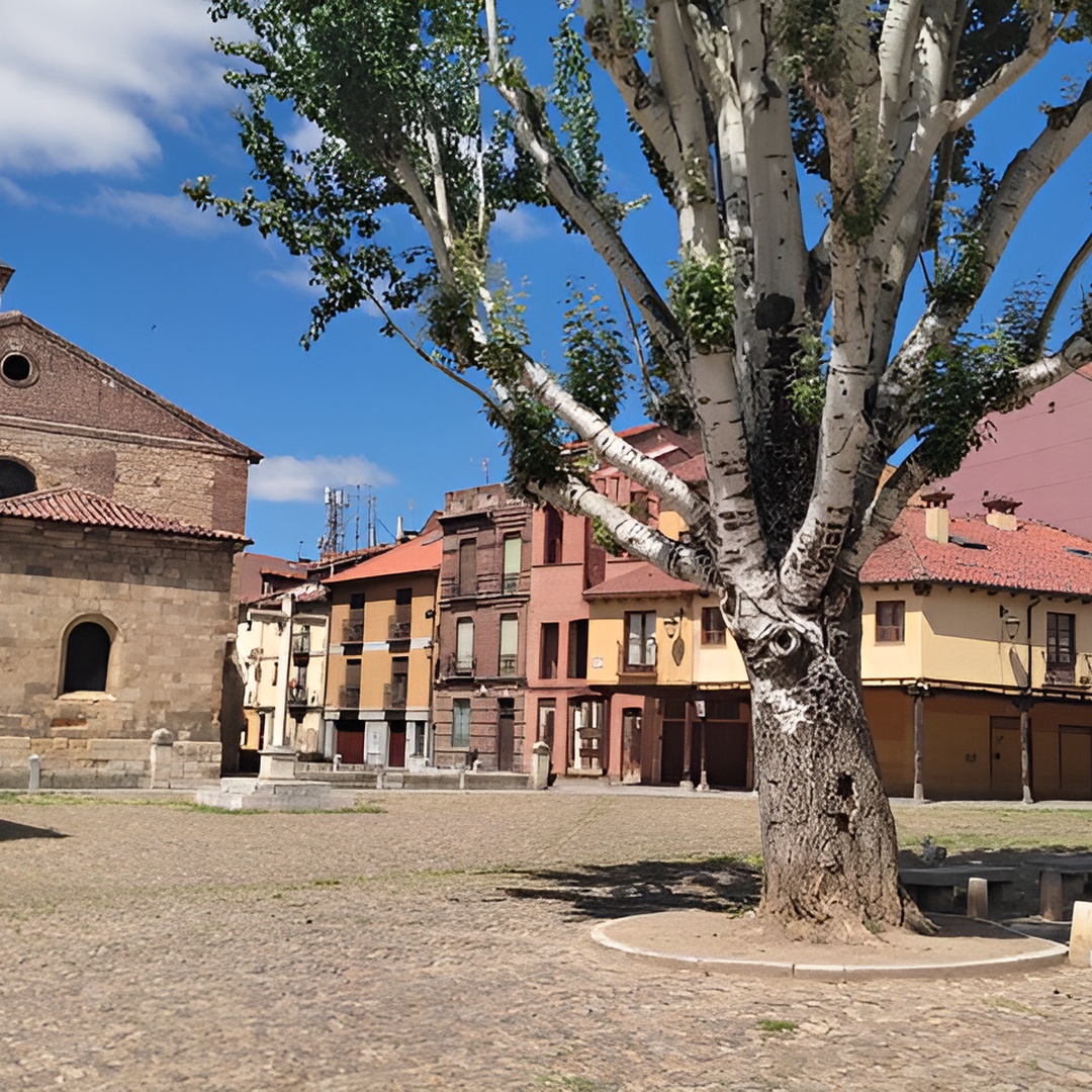 León: tour guiado por una leonesa historiadora del arte (Español)