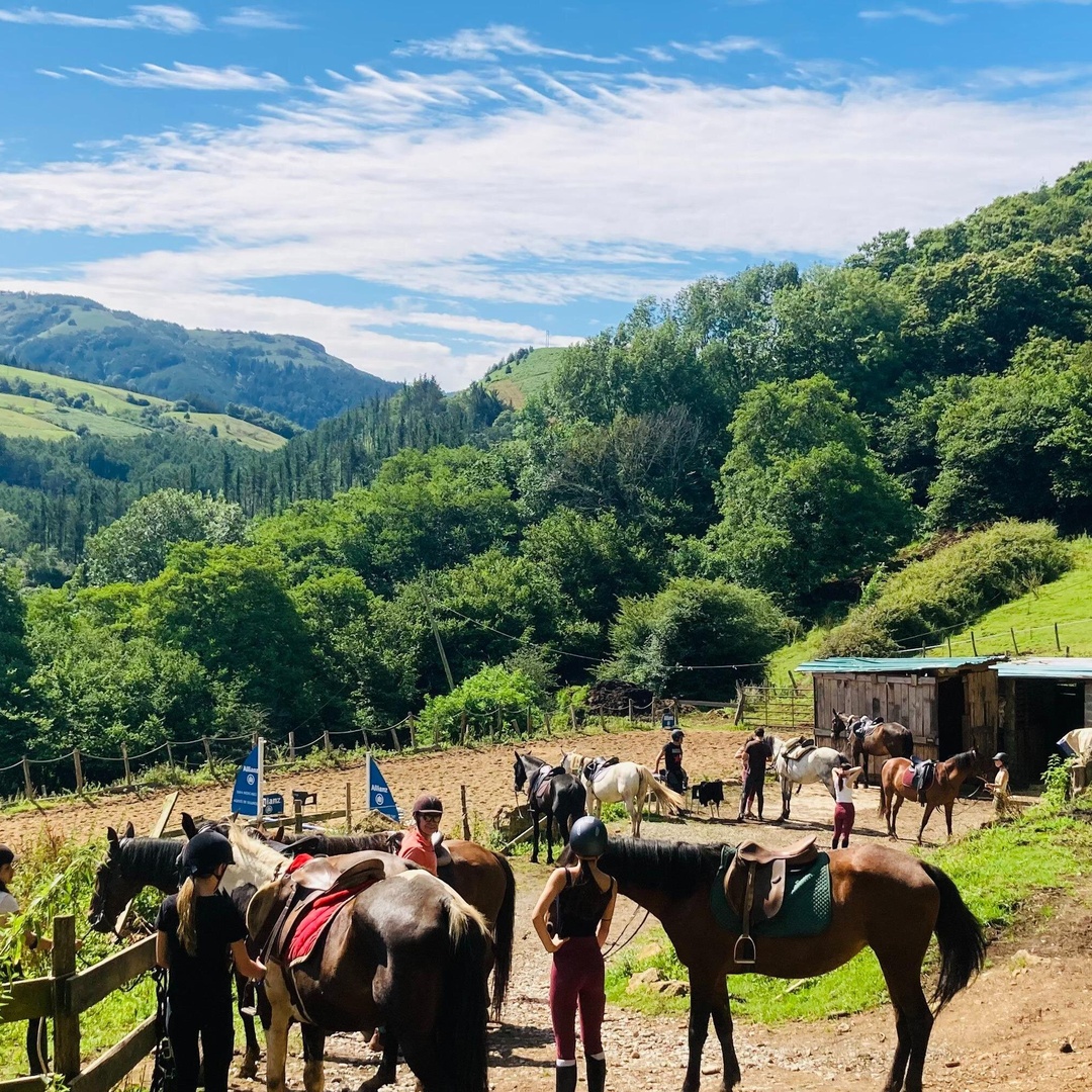 Explora montañas pintorescas y monta a caballo