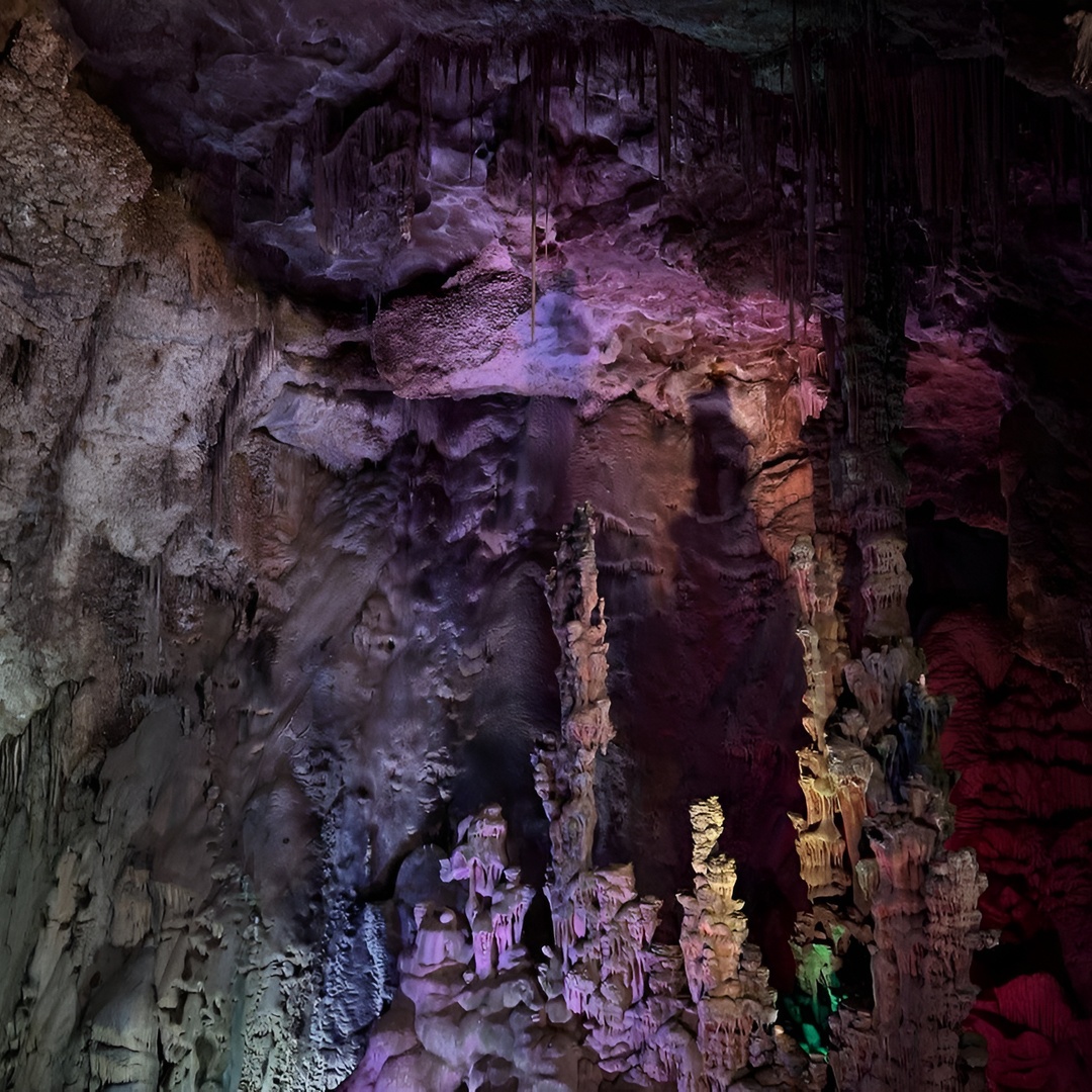 Alicante : Cuevas de Canelobre y Busot Tour con guía y traslado