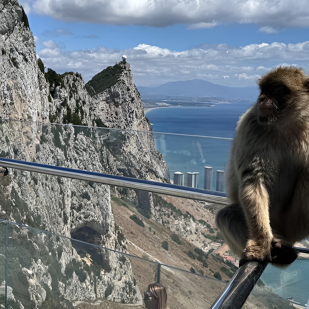 Excursión privada a Gibraltar desde Marbella en Marbella