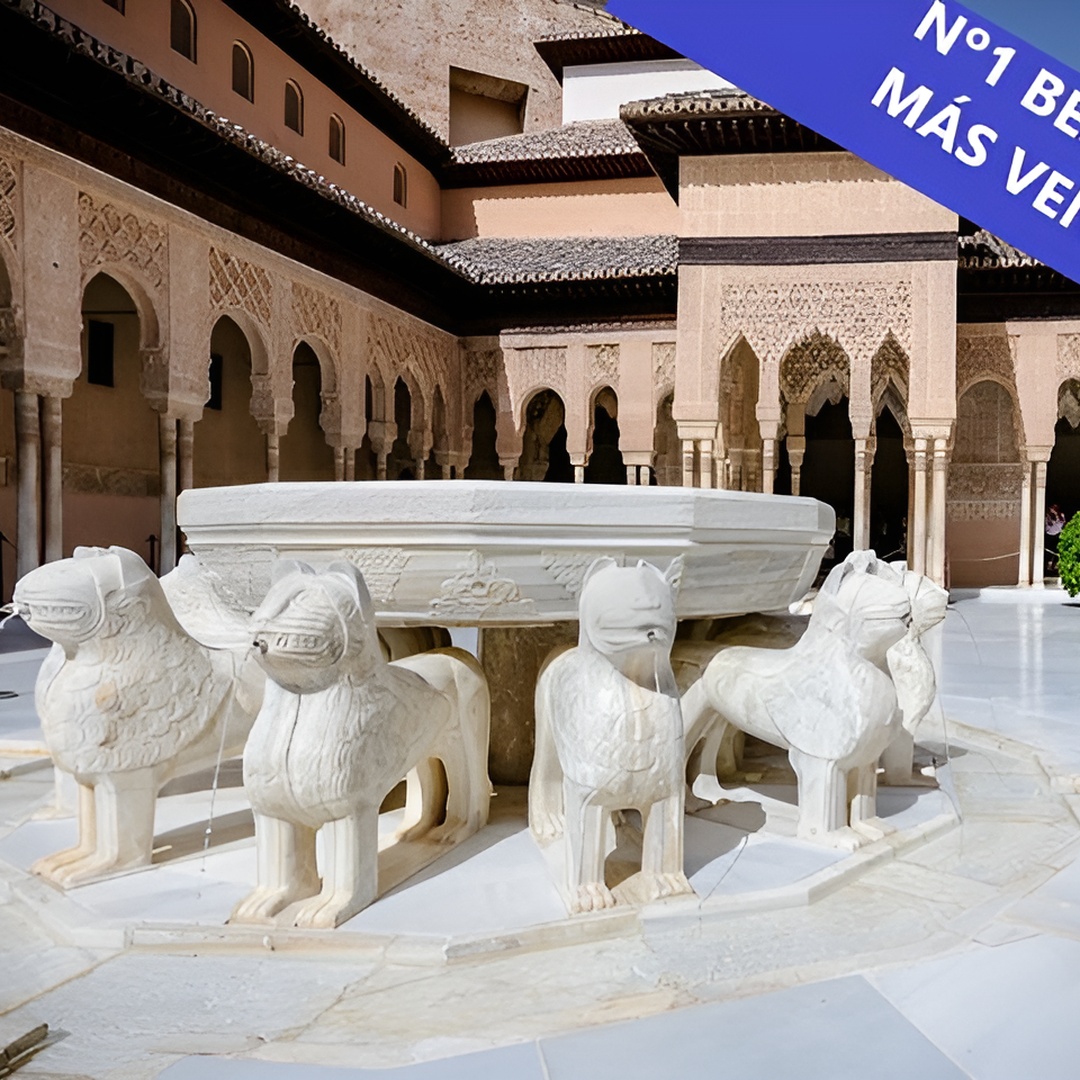 Alhambra completa con guía turístico- Evite colas de individuales