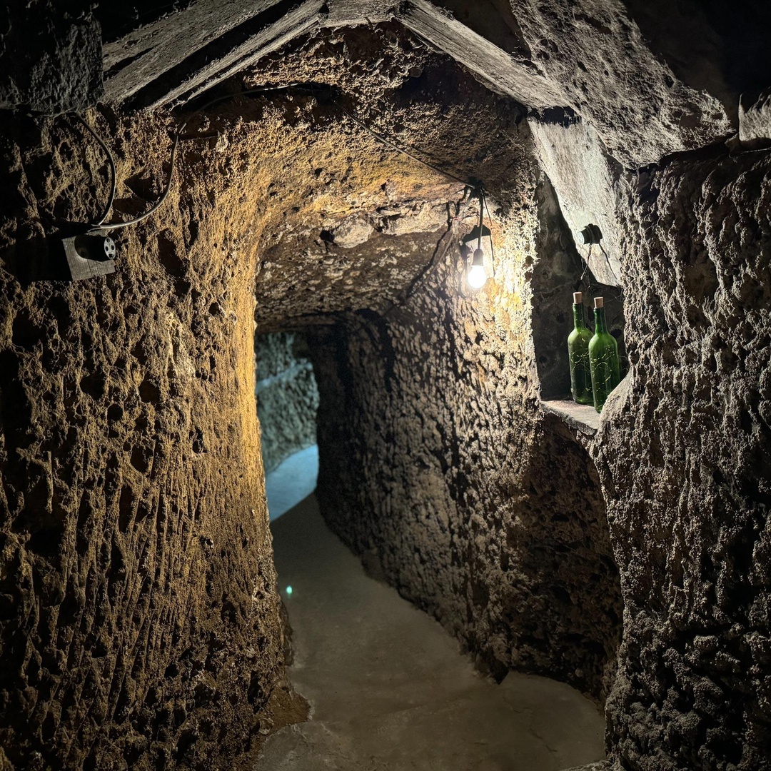 Experiencia entre Calados con Cata de Vinos en Rioja Alavesa