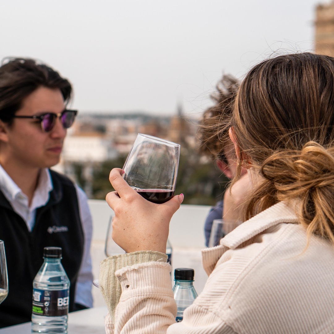 Experiencia de vino en la azotea en Sevilla