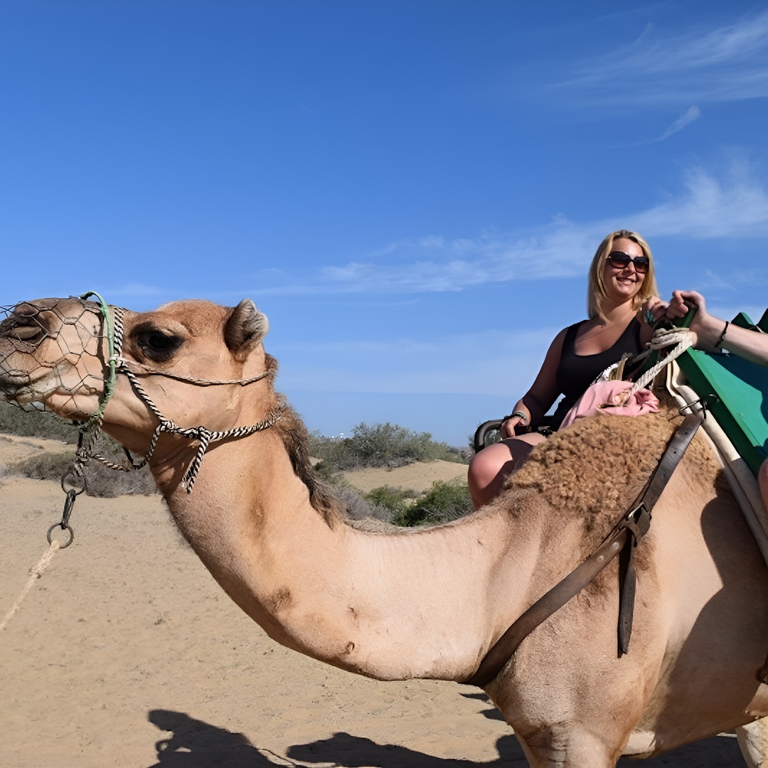 Paseo en camello por las dunas de Maspalomas en Gran Canaria
