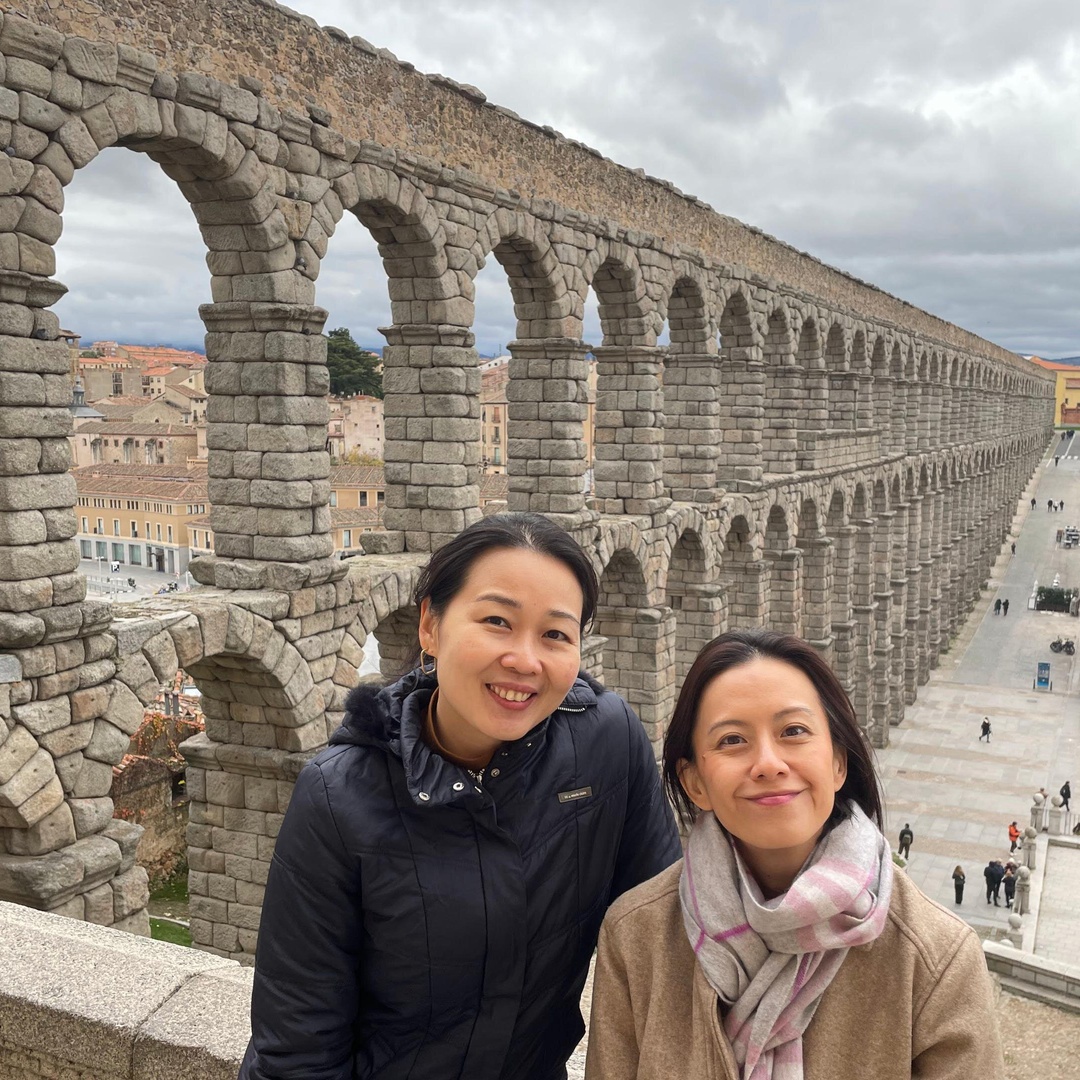 Excursión privada de un día a Ávila y Segovia desde Madrid con recogida en el hotel en Madrid
