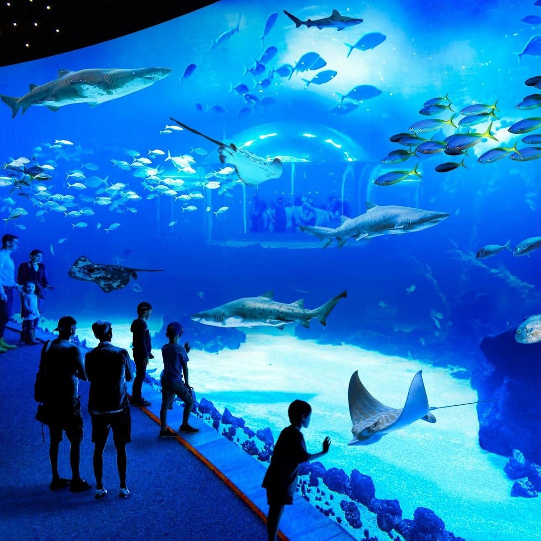 Acuario Poema del Mar y Bus TUI Paquete en Gran Canaria