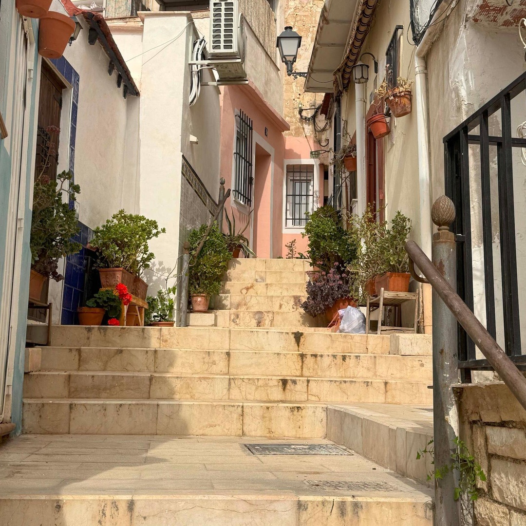 Tour y Juego de Exploración de la Sociedad Secreta de Alicante