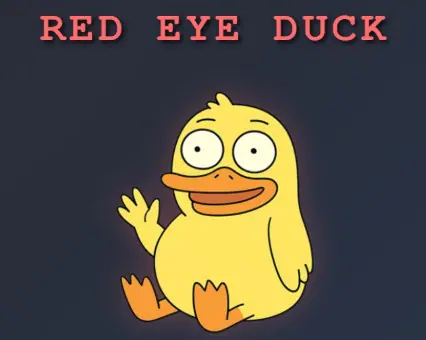 Red Eye Duck