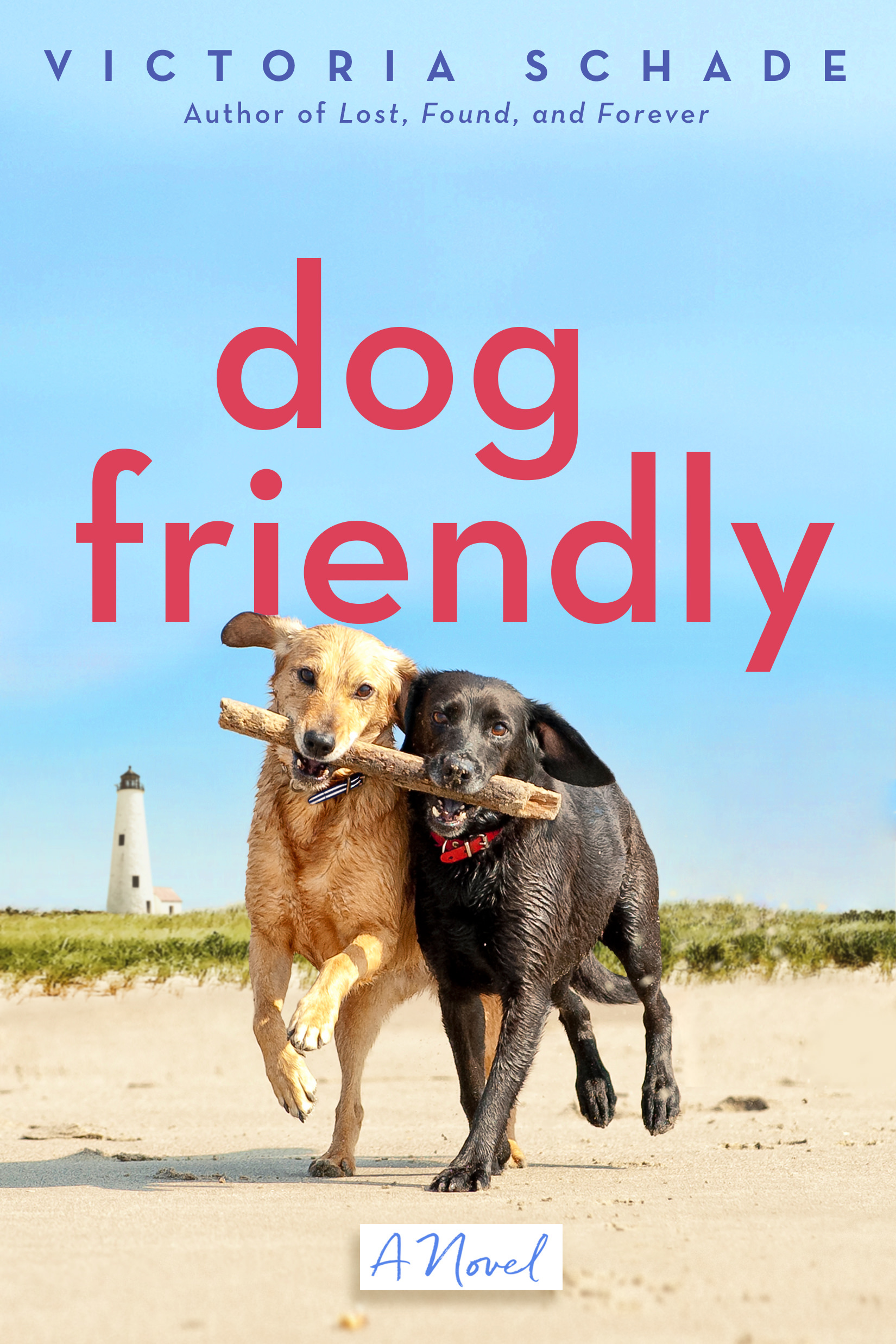 Book cover of Dog Friendly