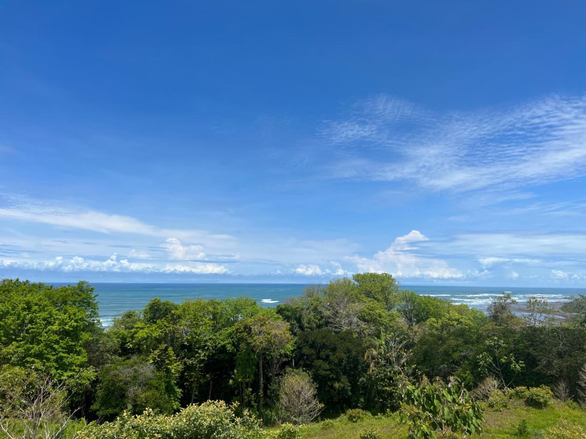 Beautiful Beachfront Property for Sale in Esterillos