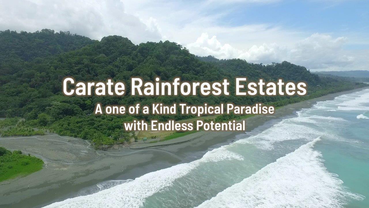 136 Hectare Carate Rainforest Estate in the Osa Peninsula